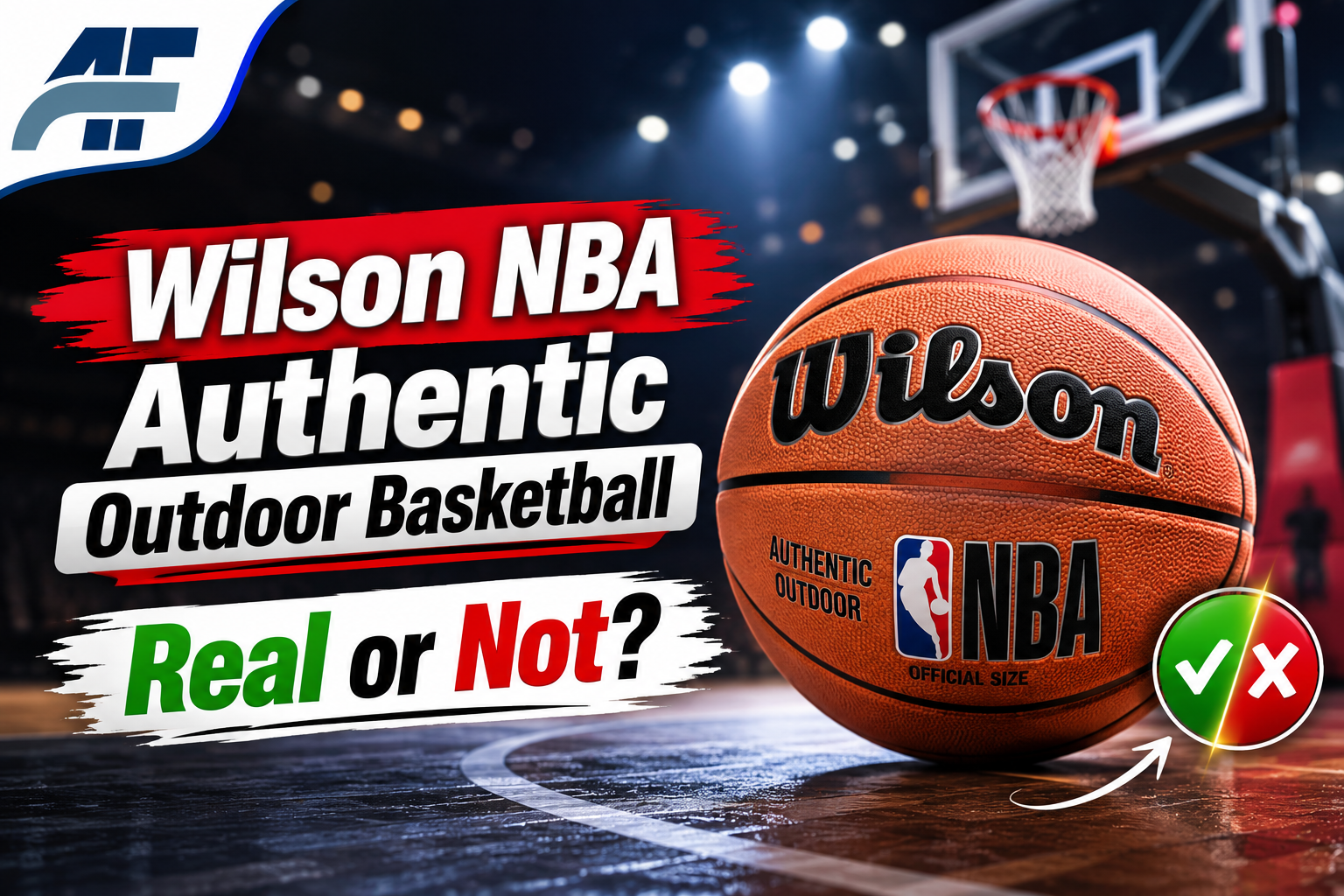 Wilson NBA Authentic Outdoor Basketball: Real or Not?